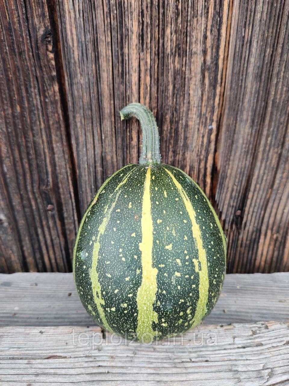 Гарбуз для декора, фото 1