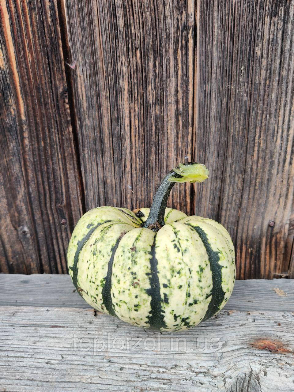 Гарбуз для декора, фото 1