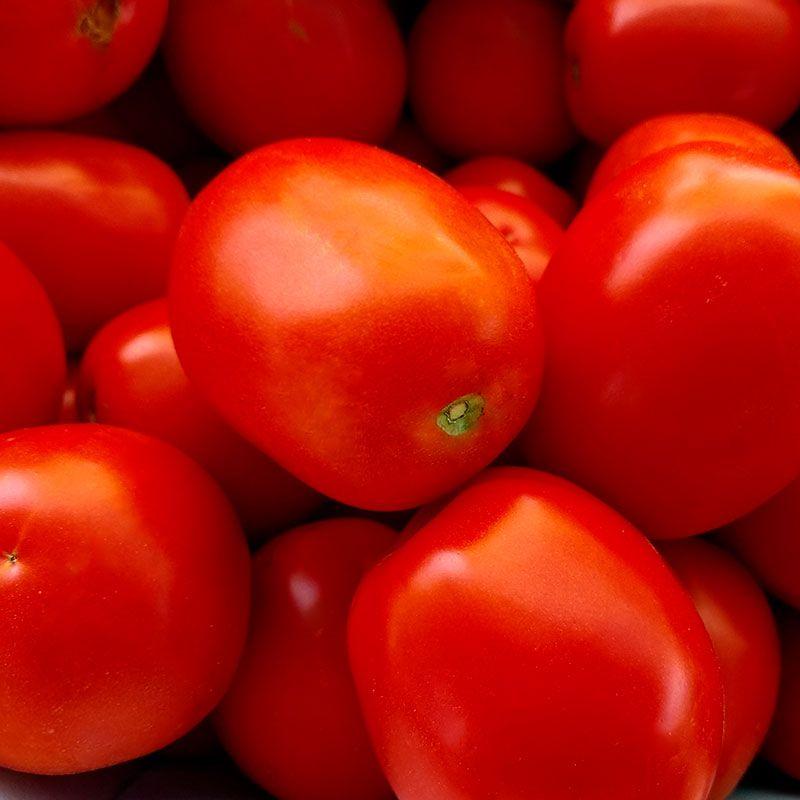 Професійне насіння томату дет. Албароссо F1 (Cora Seeds) 1000 шт.