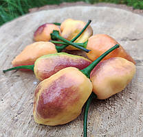 Насіння гострого перцю "Золотий горіх" (15 насінин)