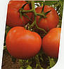 Томат Аксіома F1 10 насінин, фото 4