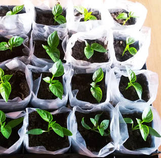 Рукав для рассады