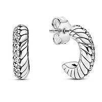 Срібні сережки 299091C01