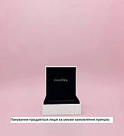 Велика коробочка для прикрас