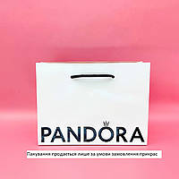 Подарунковий пакетик