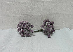 Ягоди калини в цукрі, Фіолетові-2