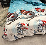 Новорічний плед із мікрофібри євро 200*230, фото 2