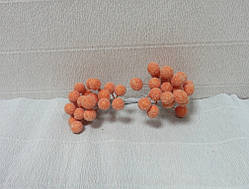 Ягоди калини в цукрі, Персикові-2