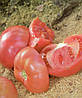 Томат Хапінет F1 10 насінин, фото 2