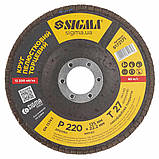 Круг пелюстковий торцевий Т27 (прямий) Ø 125 мм P220 SIGMA (9172171), фото 2