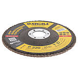 Круг пелюстковий торцевий Т27 (прямий) Ø 125 мм P220 SIGMA (9172171), фото 3