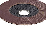 Круг пелюстковий торцевий Т27 (прямий) Ø 125 мм P220 SIGMA (9172171), фото 6