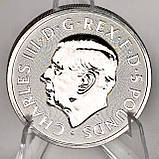 Срібна монета 5 фунтів Queen’s Panther 2025 року — 2 унції, Велика Британія, срібло 999 проби, фото 9