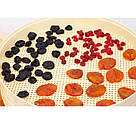 Електросушарка для грибів, Сушарка для фруктів, Хороша сушарка для фруктів Побутова ягід ZX-26, фото 2