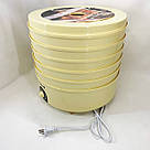 Електросушарка для грибів, Сушарка для фруктів, Хороша сушарка для фруктів Побутова ягід ZX-26, фото 4