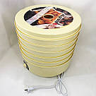 Електросушарка для грибів, Сушарка для фруктів, Хороша сушарка для фруктів Побутова ягід ZX-26, фото 6