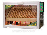 Інкубатор Тандем 80 автомат + Вологість (на 80 курячих яєць), фото 9