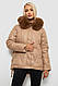 Жіноча Зимова Куртка Бежева Коротка Демісезонна З Капюшоном На Блискавці Та Кнопках Shopingo - фото 1 - id-p2787858809