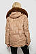 Жіноча Зимова Куртка Бежева Коротка Демісезонна З Капюшоном На Блискавці Та Кнопках Shopingo - фото 4 - id-p2787858809