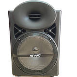 Акустика акумуляторна з мікрофонами А12-3, фото 2