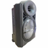 Акустика акумуляторна з мікрофонами А12-3, фото 3