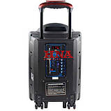 Акустика акумуляторна з мікрофонами А12-3, фото 4