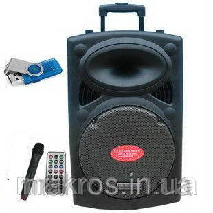 Колонка з мікрофоном В10 Bluetooth. FM-тюнер.