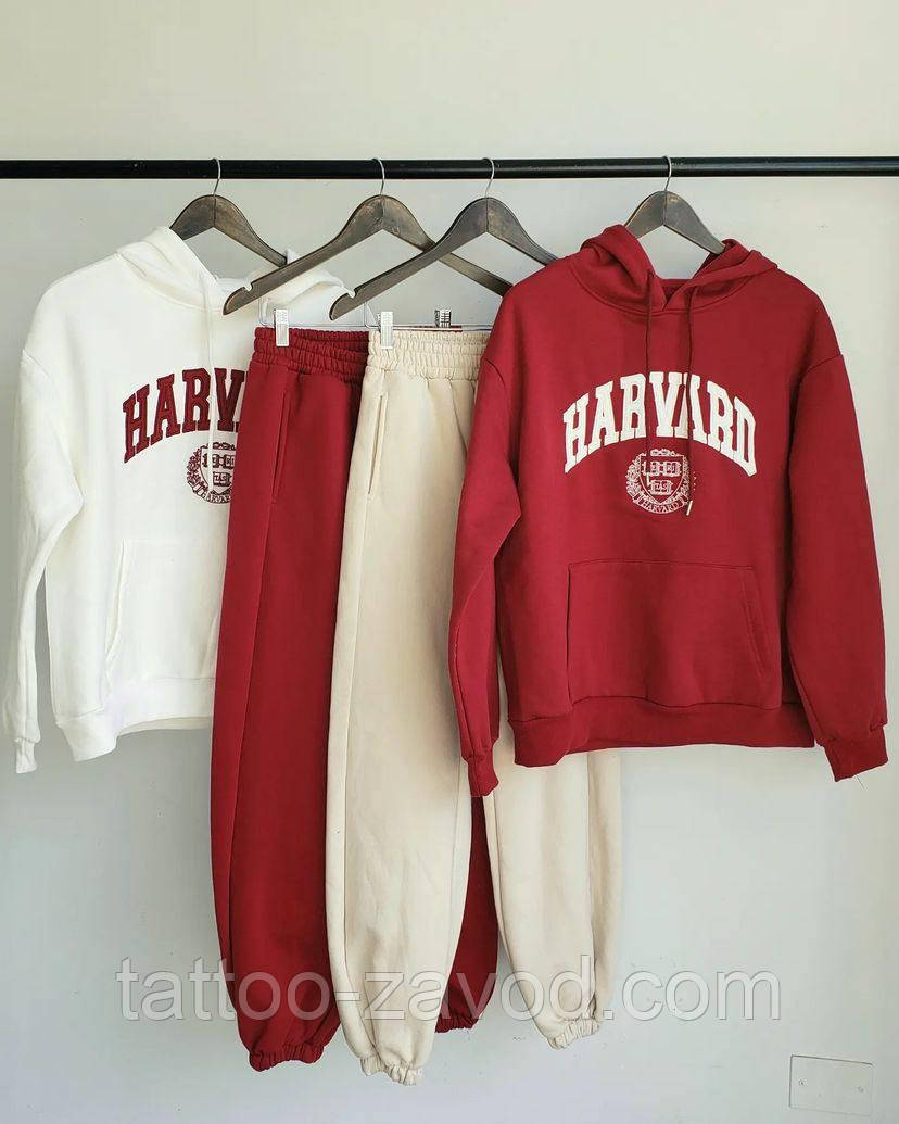 Костюм женский на флисе кофта и штаны 42-46, фото 1