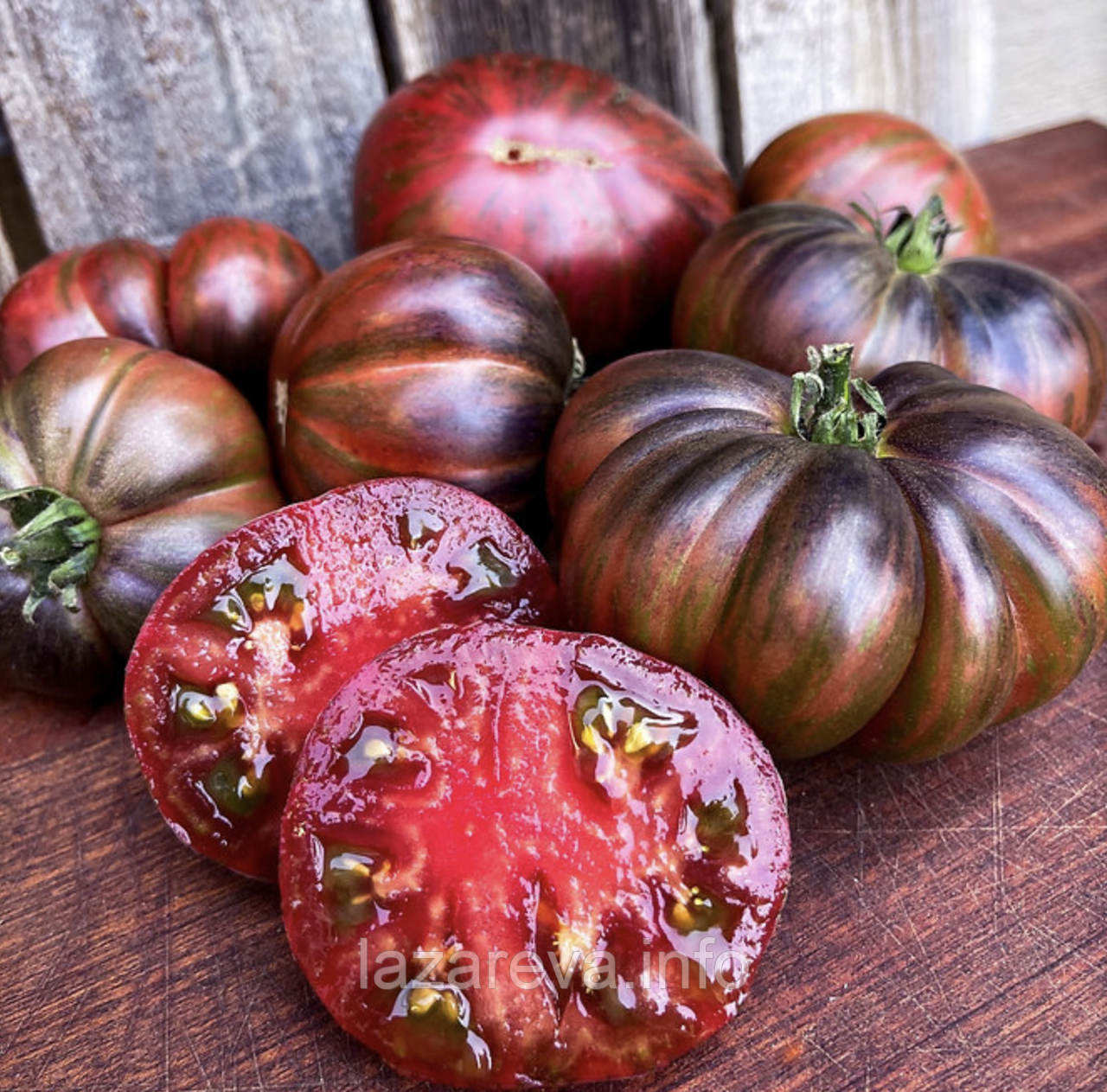 Насіння томату Гном Карлик Стринги (The Thong Dwarf) 10 шт, фото 1