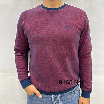 Реглан чоловічий Caporicco 9165 NAR 70% бавовна 20% віскоза 10% акрил L(Р)