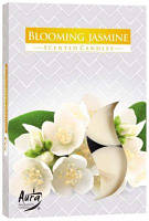 Ароматичні свічки таблетки BISPOL Квітучий жасмин