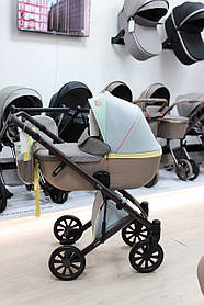 Універсальна коляска 2в1 Anex E-TYPE, Wilson