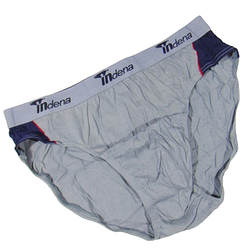 Чоловічі труси плавки Indena XL сірі 70109