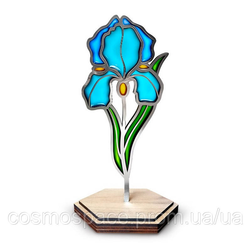 Набір для вітражного живопису за номерами "Ніжна ірис" FDSGK-013 - фото 1 - id-p2788345814