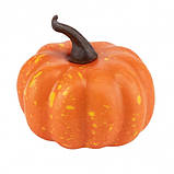 Набір гарбузів для декору 10 шт, фото 2