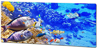 Обігрівач інфрачервоний склокерамічний HGlass IGH 5010 F Basic