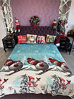 Новорічний плед із мікрофібри євро 200*230