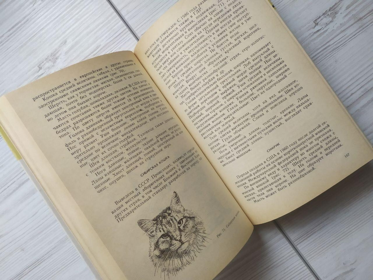 Product image preview