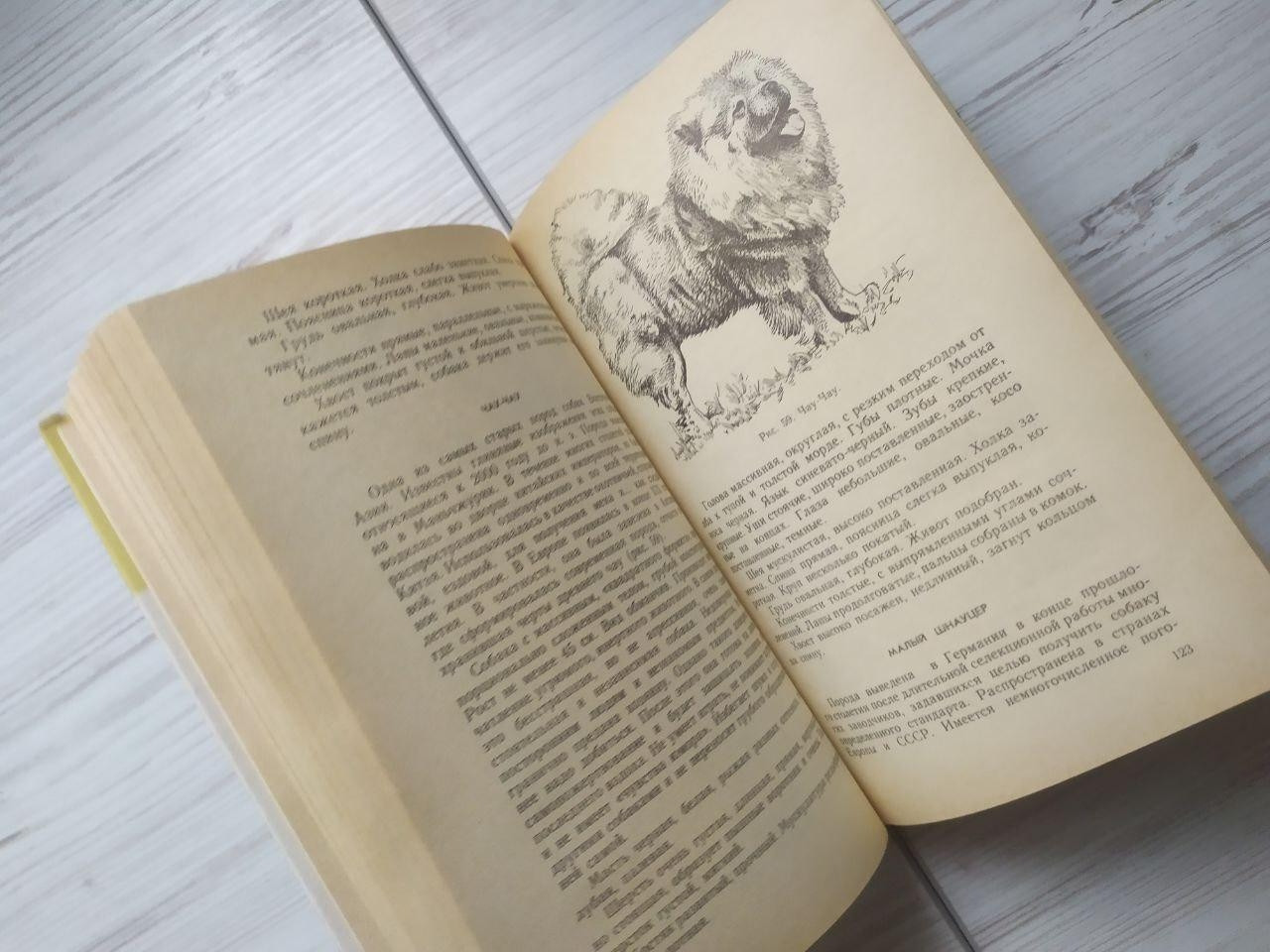 Product image preview