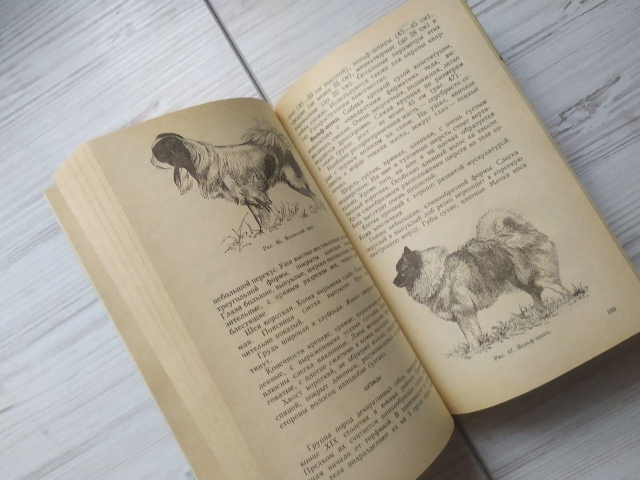 Product image preview