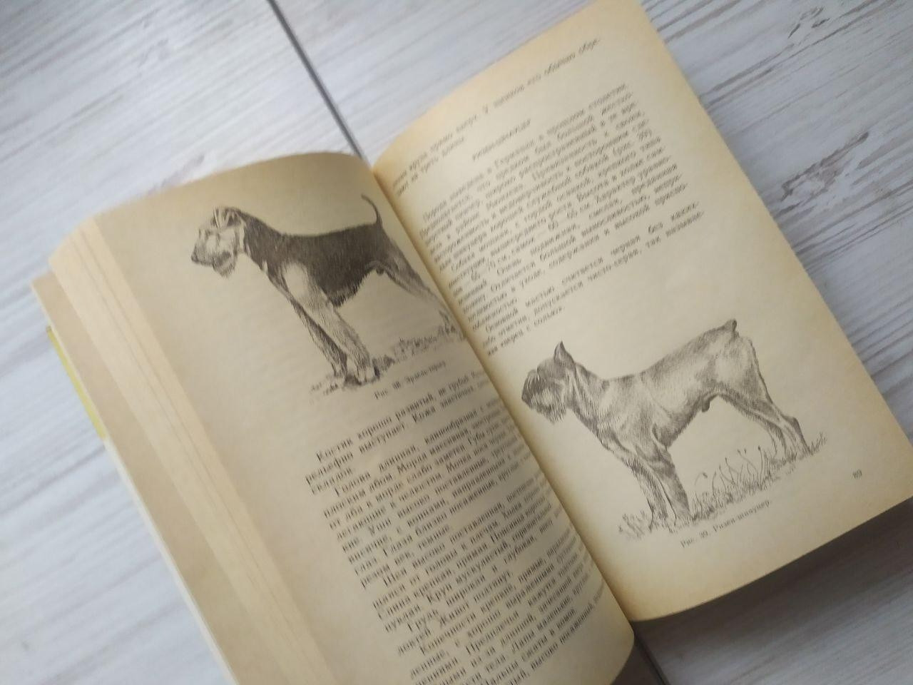 Product image preview