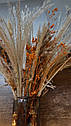 Букет сухоцвітів із пампасної трави Бохо-шик, фото 6