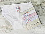 Бавовняні трусики для дівчаток Unicorn, фото 2