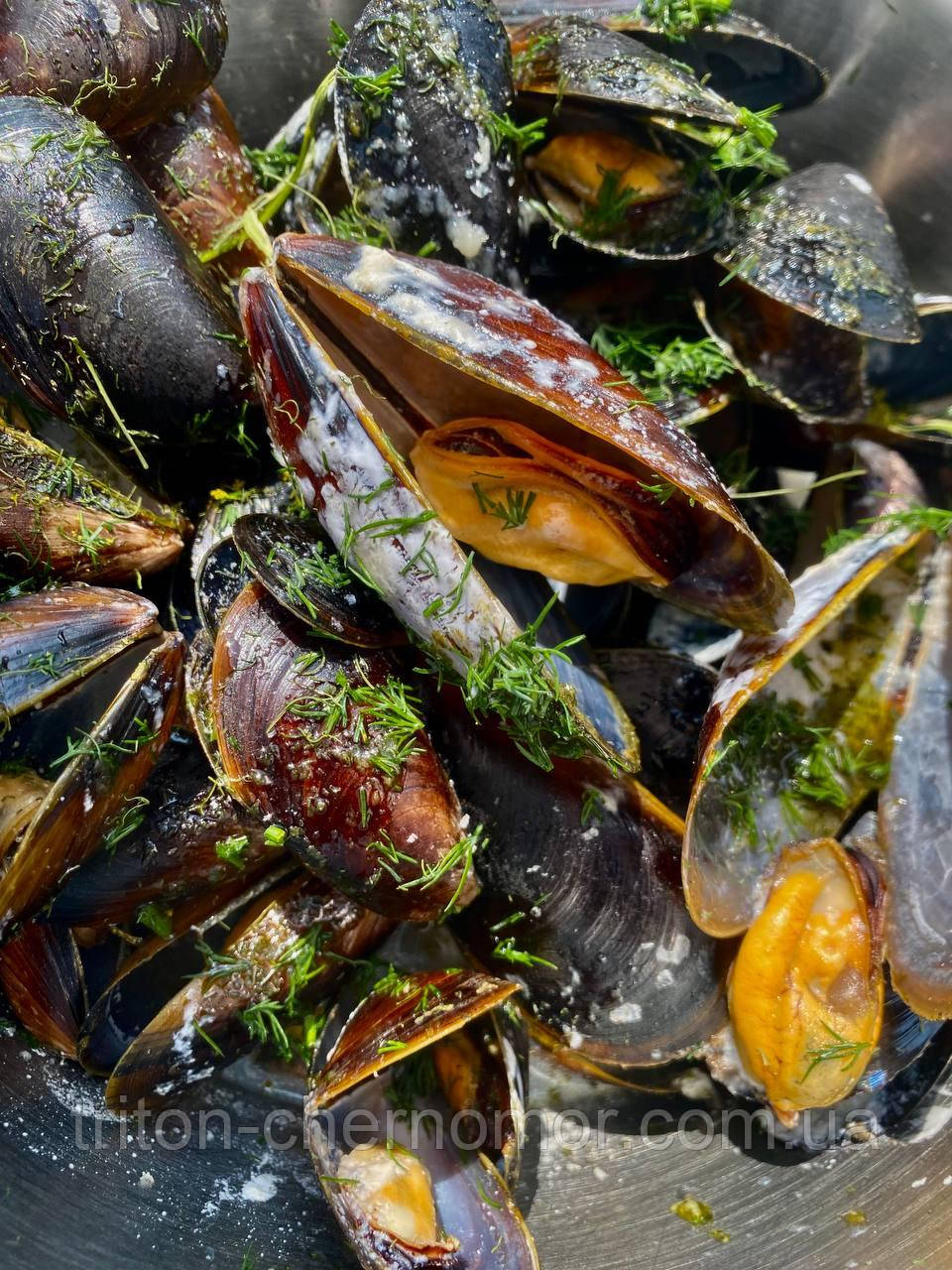 Мідії вареноморожені в мушлях у вершковому соусі, фото 1