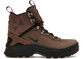 Черевики Nike ACG Air Zoom Gaiadome Gore-Tex Trails End Brown - DD2858-200