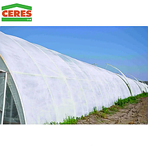 Фарба для затінення теплиць Parasolex (Бельгія) Parasolex / Парасолекс Special Plastic (для плівки), фото 4