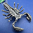 Кулон скорпіон великий 12 г Срібло 925 проби з чорнінням, фото 6