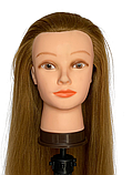 Навчальна голова з волоссям для перукаря - тренувальний манекен 80см для стрижок, укладання, плетіння 40% натур.волосся русяве 6P#, фото 6
