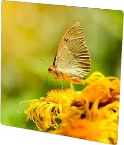 Обігрівач інфрачервоний склокерамічний HGlass IGH 6060 F Basic