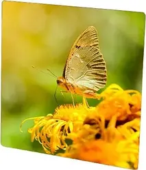 Обігрівач HGlass IGH 6060